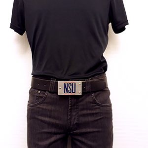 NSU auto logo kleur 1